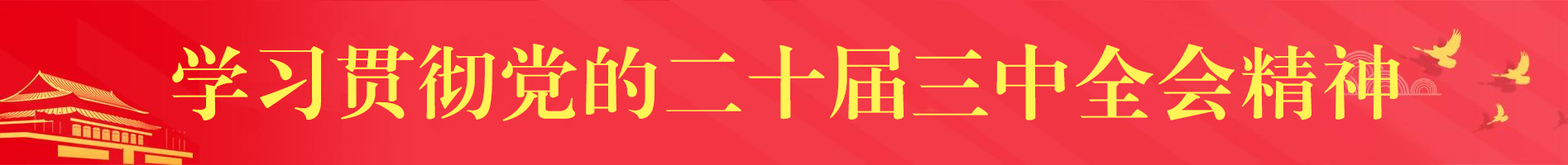 十九屆六中(zhōng)全會