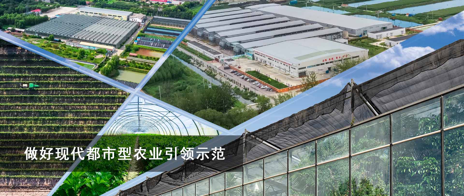 做好現代都市型農業示範引領